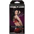 Chanel St. James Pocket Pussy